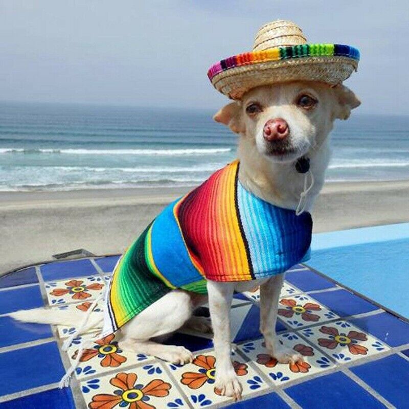 Dog Hat Hat, Mini Straw Hat Hats Mexican Hats Hat Party Hats For Small Pets O4A8