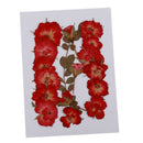 Mixed Natural Pressed Dried Rose Flower Leaves DIY Scrapbook Craft 2-2.5cm