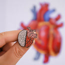 Anatomical Heart Enamel Pins Shirt Lapel Badges Creative Brooches (Style 2) A
