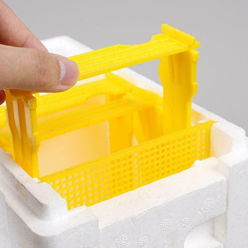 Hive Plastic Box Harvest Beehive Pollination Beekeeping Mating Bee Bee King X7H1