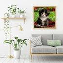 5D DIY Full Drill Diamond Painting Lovely Cat Cross Stitch Embroidery Kit