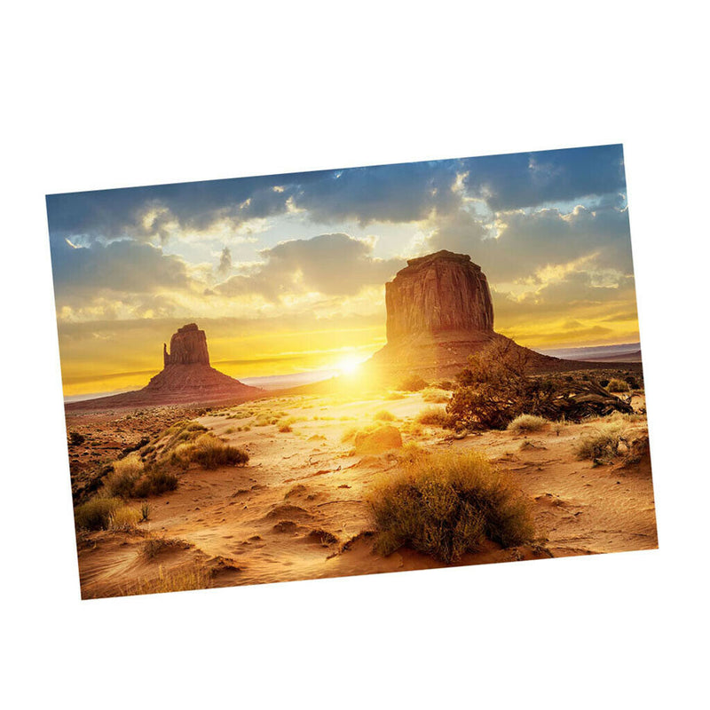 Aquarium   Tank Background Poster Desert Vivarium Decor 122x61cm