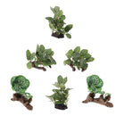 6x Reptile Plant Terrarium Plant Reptile Hiding Plant   Turtle Habitat