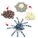 Realistic Plastic Bird Eating Spider 4 Stage Growth Life Cycle Kid
