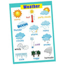 Weather~Kids Fun Early Learning Educational Preschool Poster Charts
