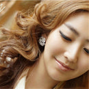 Fashion Luxury Full Shining Rhinestone Feather Earrings Party Jewelry Nice JR