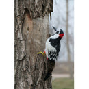 Home Artificial Woodpecker Bird Fur Imitation Animal Garden Decor 33cm