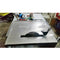 Clear Durable Plastic Anti Dust Table Saw Cover Guard Case for 7-12" Saw
