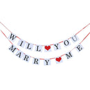 Will You Marry Me Theme Proposal Party Decoration Banner and Balloons Set
