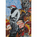 5D DIY Full Drill Square Diamond Painting Bird Cross Stitch Embroidery Kit