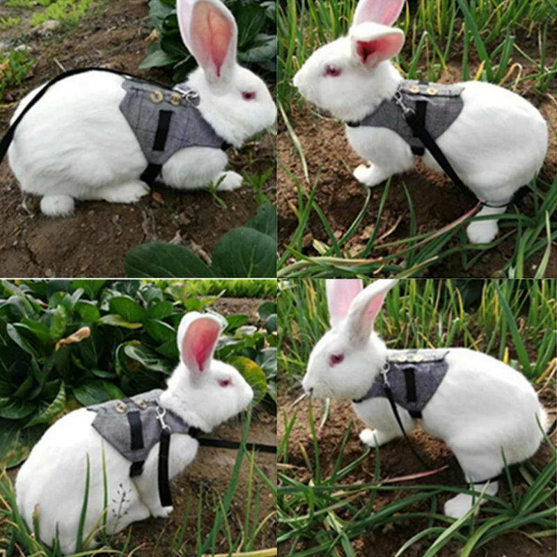 Multipurpose Rabbit Harness Small Pet Leash Chinchillas Guinea Pig Vest Clo