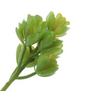 Artificial Succulents Plants Grass Flower Lifelike Home Plants Decor