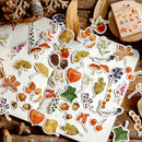 46pcs/lot Autumn Fallen leaves Plant Paper Diary Mini Cute box Stickers set JR