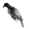 1PC Hunting Dove Scare Protect Garden Pigeon Decoy Bionic Animal Bait Outdo