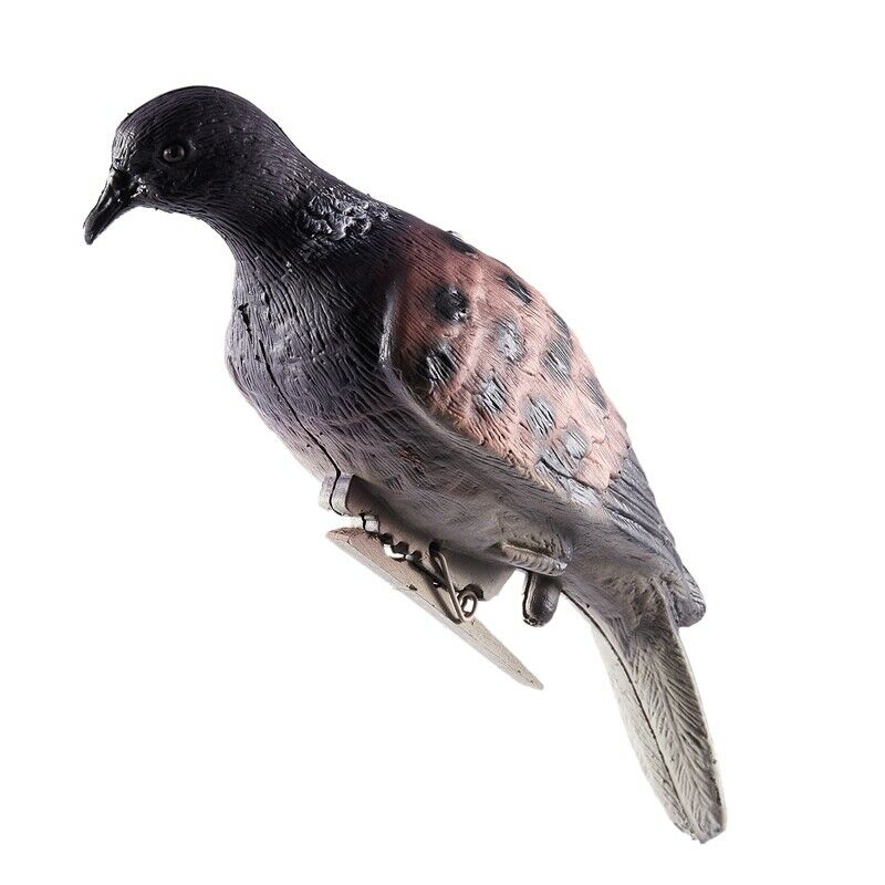 1PC Hunting Dove Scare Protect Garden Pigeon Decoy Bionic Animal Bait Outdo