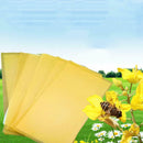 5Pcs Beekeeping Honeycomb Foundation Wax Frames Honey Hive Equipment Tool Set