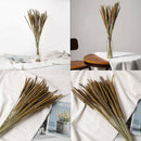 50Pcs Natural Dried Pampas Grass Reed Flower Bunch Wedding Bouquet Decors AU Hot