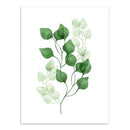 Eucalyptus Leaf Wall Art Painting Canvas Picture Nordic Style Home Decor S
