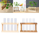 2x Crystal Glass 8 Test Tube Vase in Wooden Stand Flower Pots for Water Plant