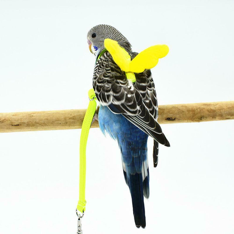 Parrot Bird Leash Adjustable Harness Pets Anti Flying Outdoor Training Rope NEW