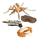 Realistic Life Cycle of Mosquito 4 Part Insects Hatchery Growth Figures Toys