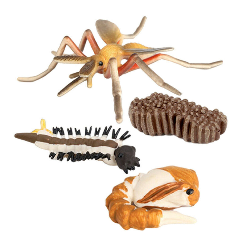Realistic Life Cycle of Mosquito 4 Part Insects Hatchery Growth Figures Toys