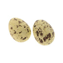 Pack of 5pcs Artificial Speckled Bird Eggs for Crafting,Favors,Embellishing