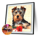 5D Full Round Drill Diamond Painting Dog diy Embroidery Animal Decor (279)