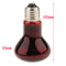 2x Reptile Terrarium UVA Heat Lamp Night-time Viewing Lighting 50W E27 Base