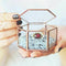 Geometric Glass Terrarium Box Jewelry Box Glass Succulent Plant Pot Deco He