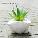 6pcs/set Mini White Small Flowerpot shell Shape Ceramic Succulent Plant Pot