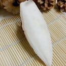 Cuttlefish Bone 7PCS