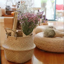 Seagrass Belly Basket Storage Plant Pot Foldable Nursery Laundry Bag 3c