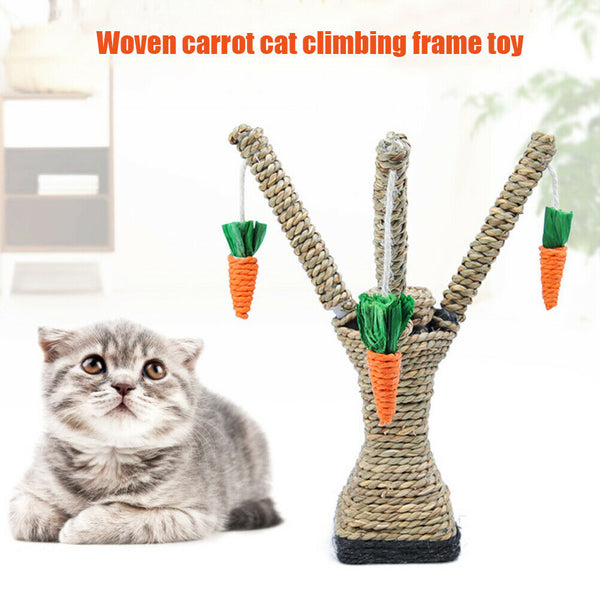 Cat Climbing Frame Funny Kitten Teeth Care Tower Shelves Scratching Post Carrot