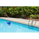 Floating Thermometer Water Gauge with String for Hot Tub Spa Sea Lion