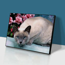 5D Diamond Painting DIY Quiet Cat Full Round Drill Kit Ornaments (HY040)