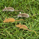 18 Pieces Realistic Mini Hairy Rats Mouse for Best Halloween Decoration Garden