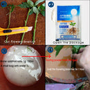 10g IBA Bonsai Plant Growth Root Medicinal Hormone Regulator Growing Fertili ï¼W