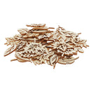 50Pack Hollow Leaves Shapes Wooden Pieces Wood Chip Painting Drawing Crafts