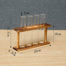 Wall Mounted Hanging Planter Test Tube Flower Vase Tabletop Glass Wood for Home