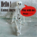 Halloween Poseable Human Jointed Skeleton Full Life Size Props Party Decoration