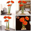 Flower Vase Glass Tubes Clear Glass Flower Pot With Wooden Stand For Hydrop