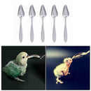 5X Pet Bird Parrot Cockatiel Stainless Steel Scoop Hand Milk Food Feeding Spoon