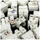 100Pcs Plastic 2 Pin Push Quick Cable Connector Wiring Terminal 10A 250V