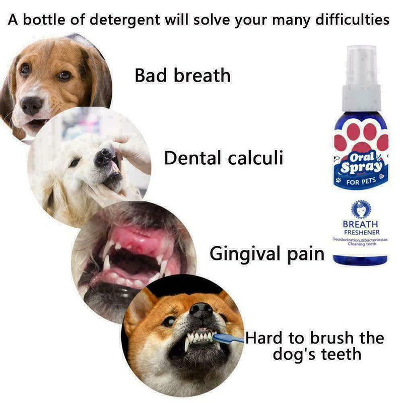 Care Oral Hygiene Non-toxic Teeth Cleaner Mouthwash Pet New Breath Oral Fre O0Z5