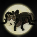 Spider Dog Costume Halloween Spider Pet Costumes Outfit Apparel Furry Spide