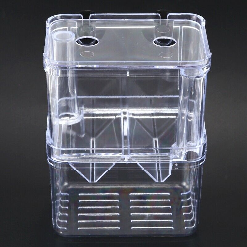 Clear Plastic Aquarium Fish Breeding Box Incubator Isolation