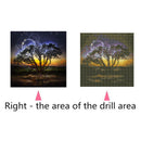 5d diy full drill night field tree diamond painting embroidery home decor LJAU