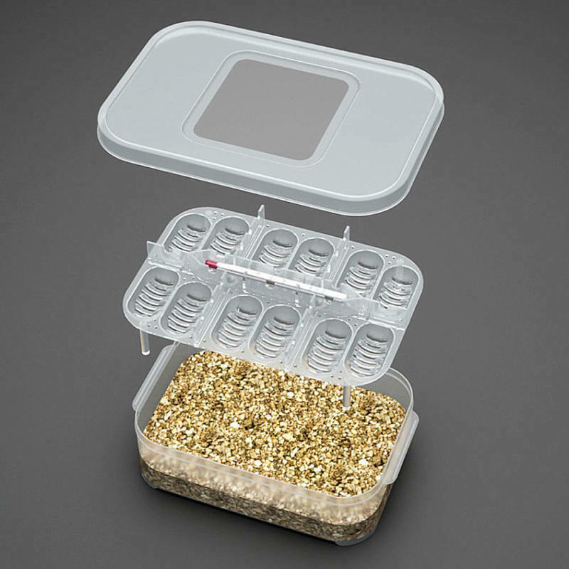 12 Grids snakes Gecko lizards Reptiles eggs hatcher tray Hatcher Brand New asd