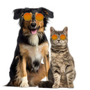 Lovely Dog Cat Glasses Pet Eye Protection Sunglasses Photos Props (Red) A